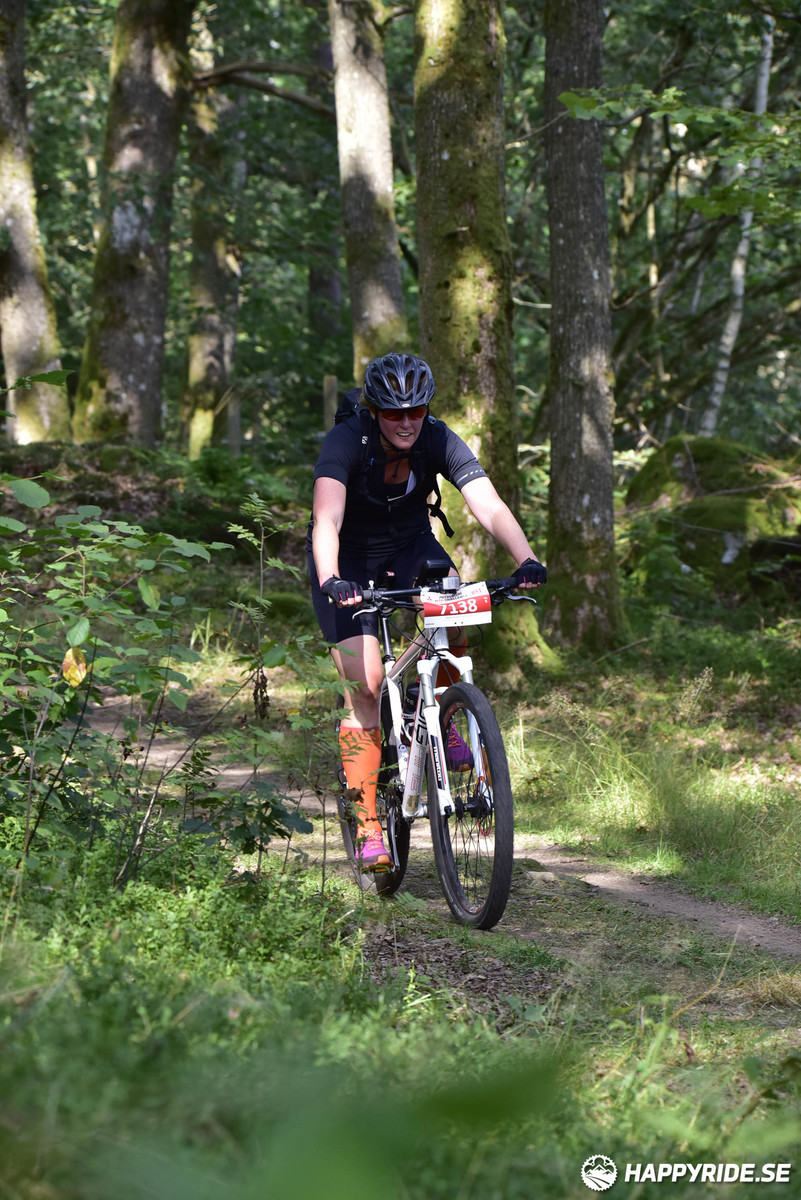 Bild från Bockstensturen 2019